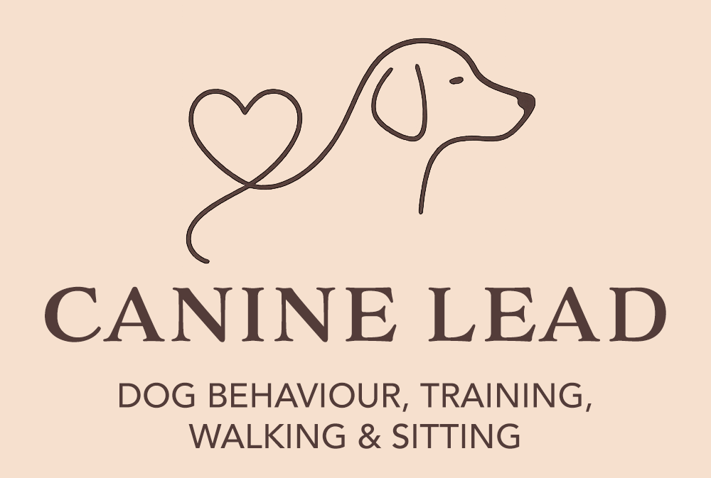 Canine Lead