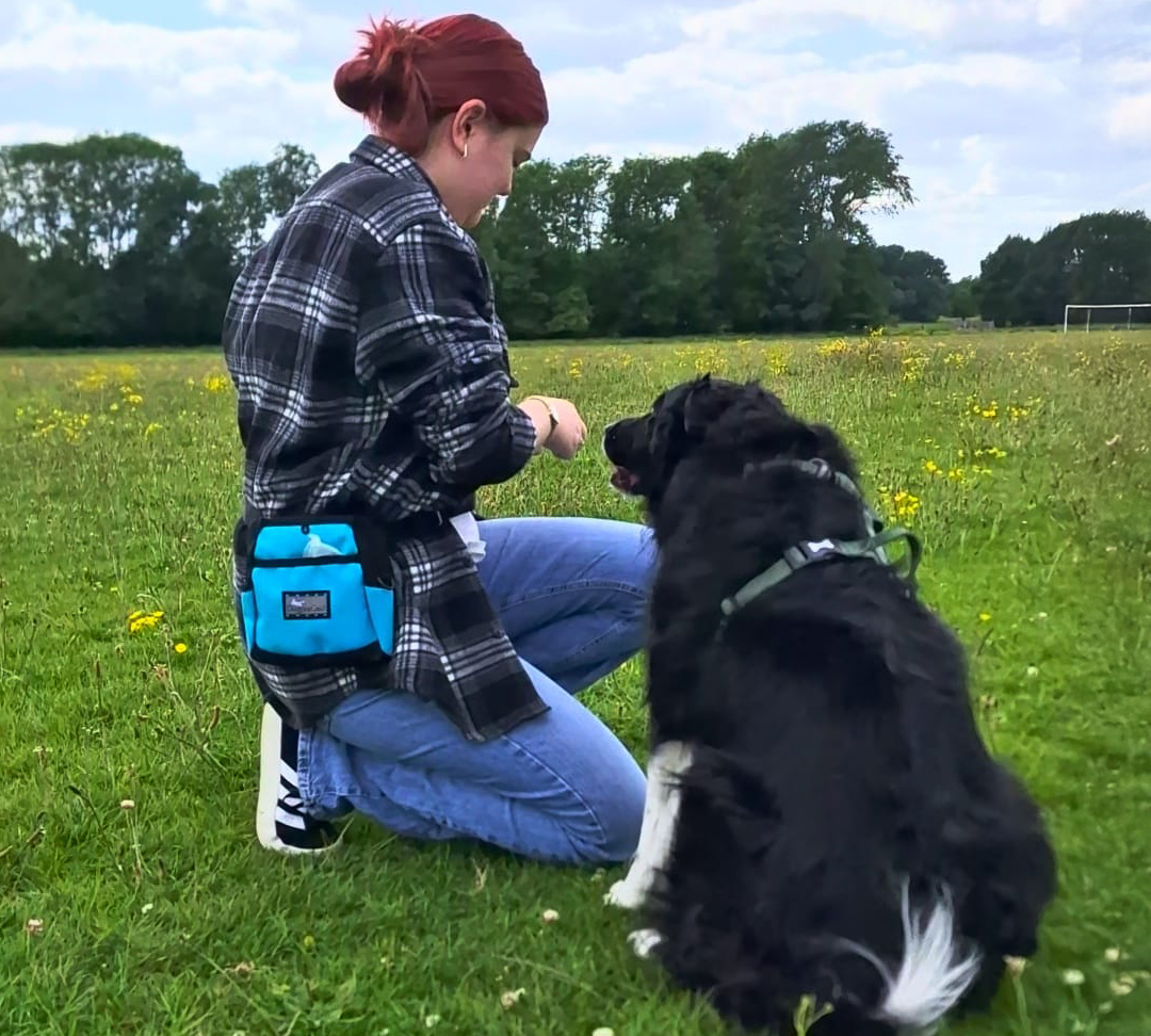 Canine Lead Dog Services