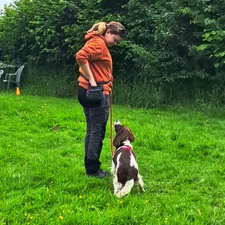 Dog Walking Lincolnshire